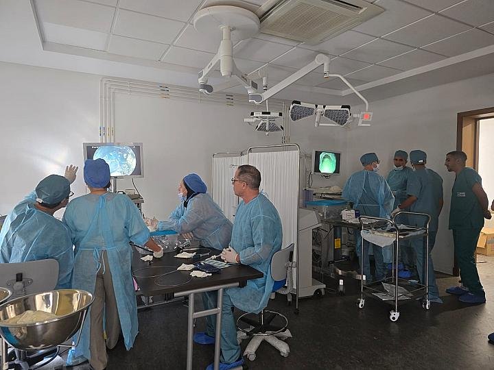 8ᵉ Workshop d’Endoscopie Digestive Interventionnelle sur modèle animal.