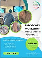 Premier workshop sur l’hémostase endoscopique digestive